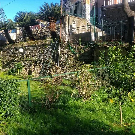 Garden *